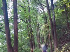 -山王坪喀斯特国家生态公园