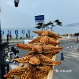 威海的！威海的！好吃到不想说话...