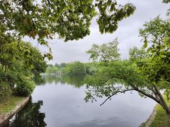 -上海共青森林公园