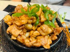 -丁老爷子苏香圆