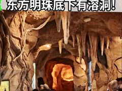 -上海大自然野生昆虫馆(东方明珠·爬宠昆虫探索中心)