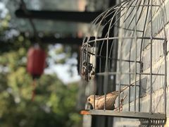 -T80科技文化国际社区-停车场