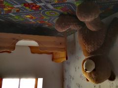-金山农民画村-枫泾波兰倒置屋