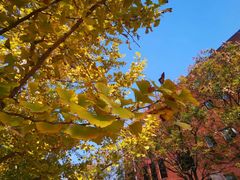 -艾溪湖湿地公园