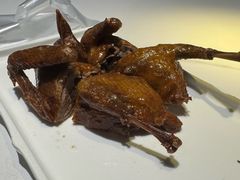 -琬苑鸽庄·川粤融合菜(解放碑总店)