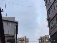 -金枫锅贴(滨江·凯旋门店)
