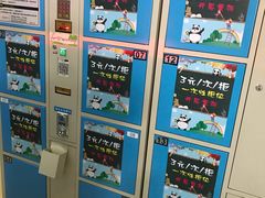 -灵玲国际马戏城