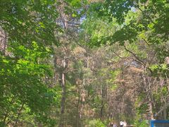 -帽儿山国家森林公园