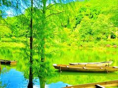 -深圳仙湖植物园