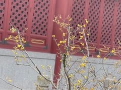 -湛山寺