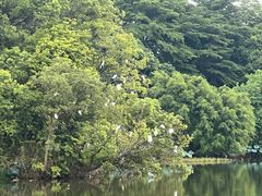 -福建鲤鱼洲酒店