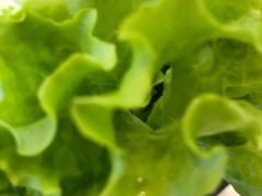 -楼外楼大刀肉传统火锅居(幸福街店)