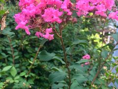 -食膳公园包子铺(烈士公园店)