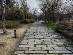 -武汉园博园(武汉自然博物馆)