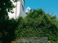 -山明水秀大饭店