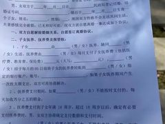 -王丽律师团队·专注婚姻家事(黄浦店)