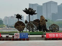 -莲花池公园
