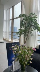 -JNK皮肤管理中心