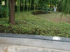 -南翔镇银翔湖公园