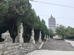 -原山国家森林公园