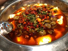 -火胖子肥肠煲·始于1998(南山村店)