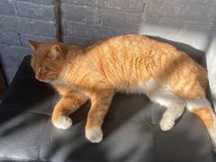 -CHURCH  BISTRO 教堂·餐吧