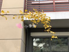 -锡师附小学(学前街校区)