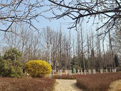 -前关湿地公园