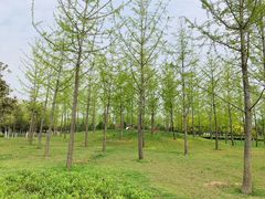 -洨河生态公园