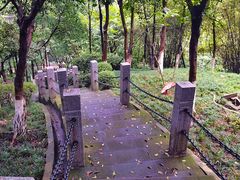 -龙头寺公园