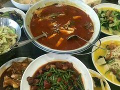 -溱湖国家湿地公园