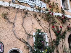 -布劳伽斯特豪夫哈尔施塔特宾馆