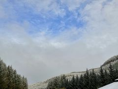 -塞罕坝国家级自然保护区