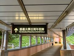 -香港大学