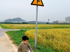 -光明小镇欢乐田园