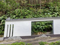 -滴水岩森林公园
