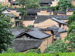 -杨家堂村