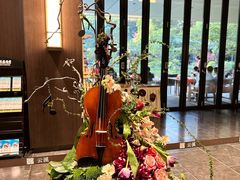 -云溪植物园