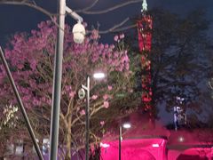 -广州市纺织服装职业学校