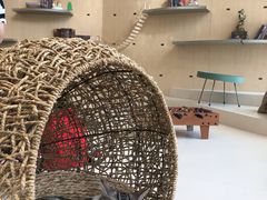 -飞行喵MR PILOT|猫舍·猫咖(静安大融城店)