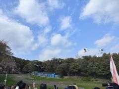 -哈尔滨北方森林动物园