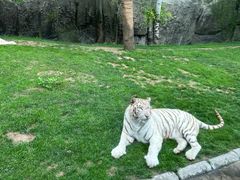 -北京野生动物园