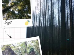 -山王坪喀斯特国家生态公园