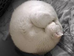 -1点点(河南中路店)