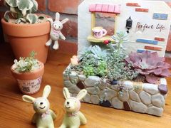 -魔石泡泡鱼(当涂店)