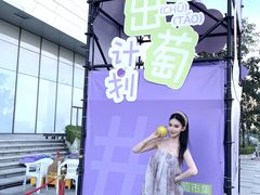 -龙湖南京江北天街