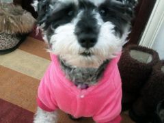 -丹香(乳山利群店)