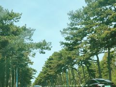 -长春市南湖公园