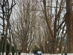 -棒棰岛宾馆景区