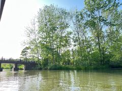 -溱湖国家湿地公园